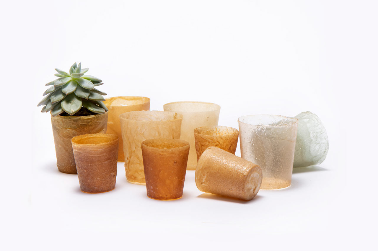 Colorful Compostable Bioplastics