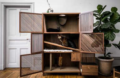 The Cat Flat Gives Cats a Home with 10 Things to Make Them Happy