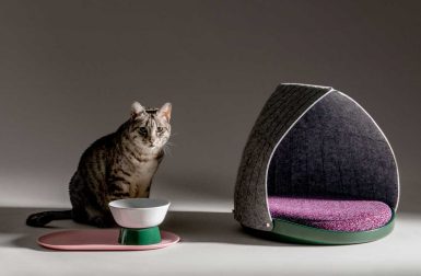 LAYER x Cat Person: Adaptable, Modern Gear for Cool Cats