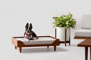 Modernica Announces the Case Study Furniture(R) Solid Wood Pet Daybed