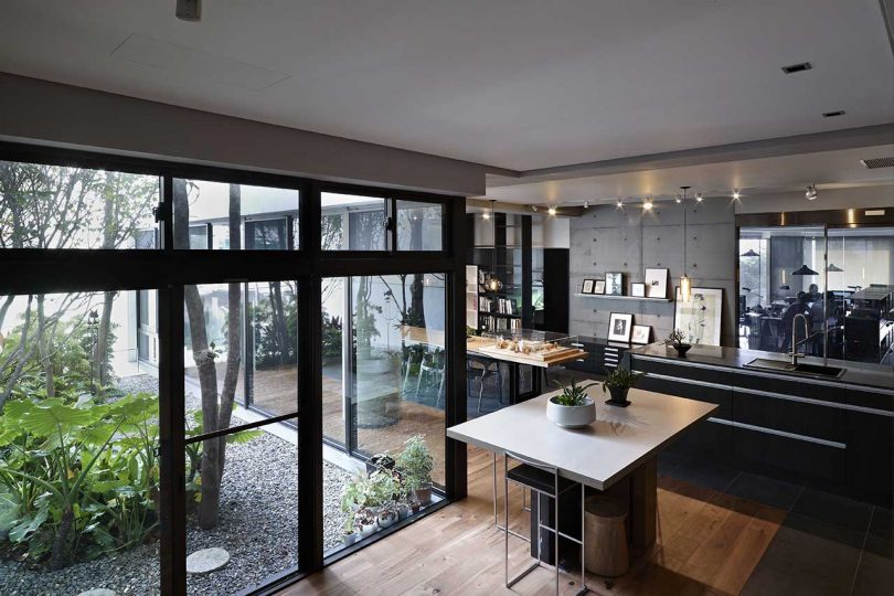 office interior looking out to greenery