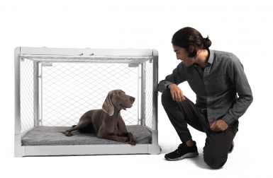 Meet Revol: The Dog Crate That Combines Form + Function