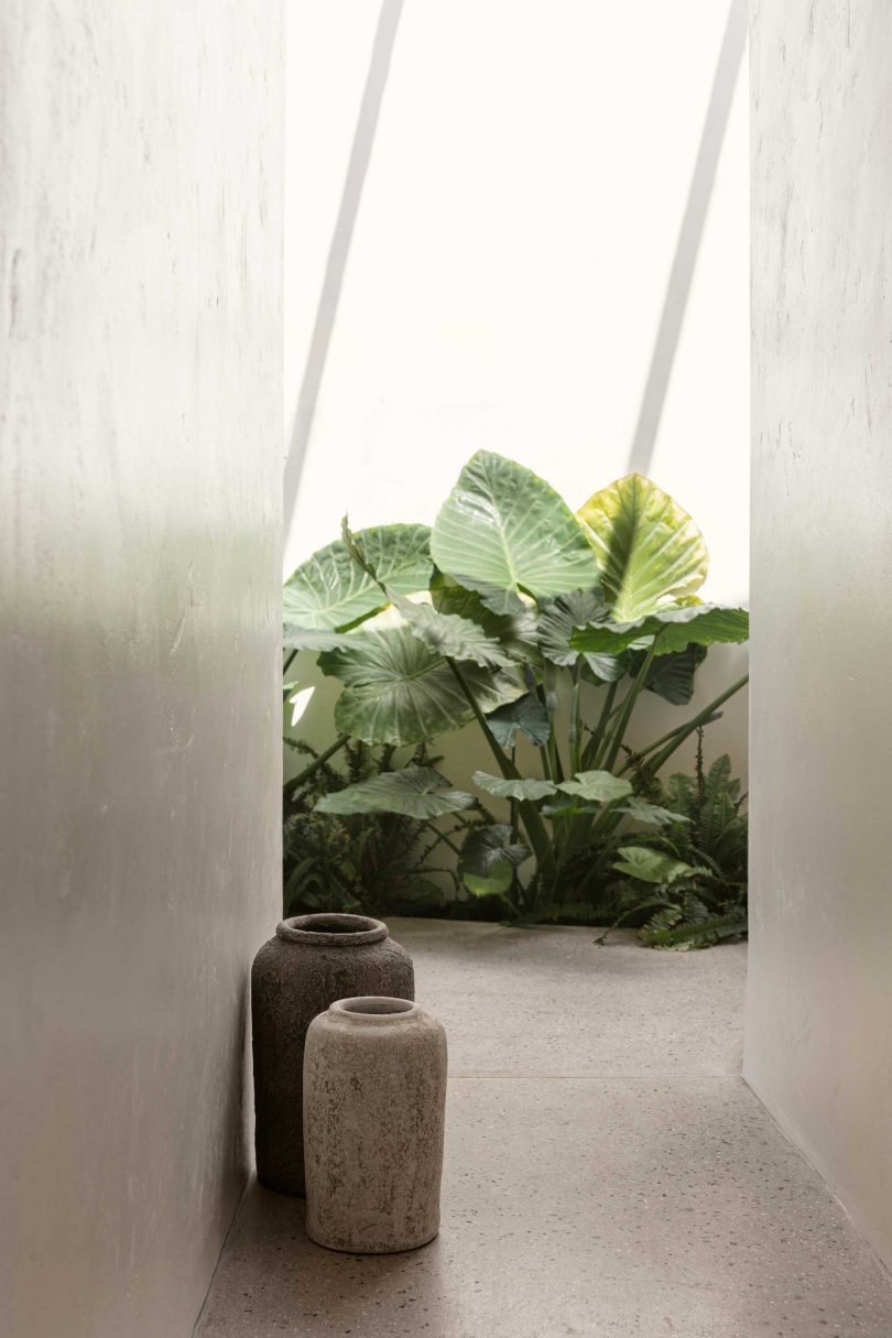 looking down minimalist hallway with plants at the end