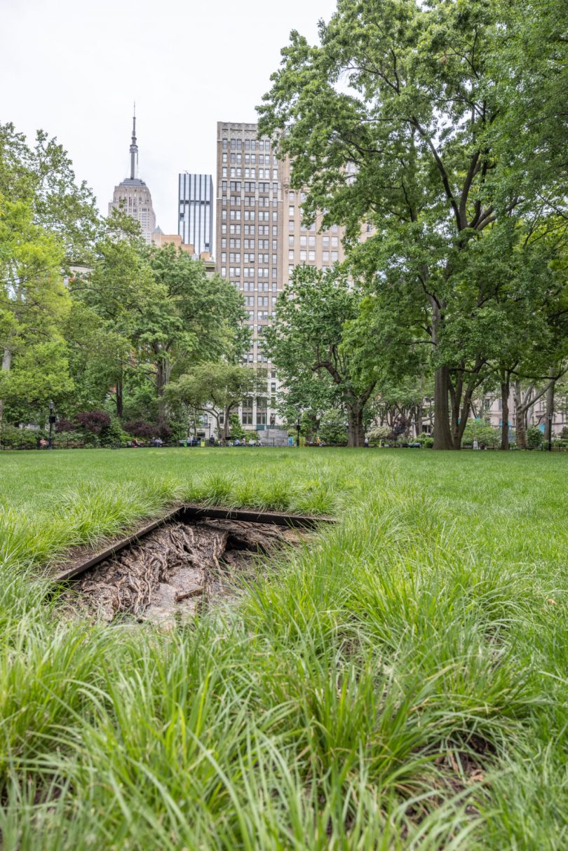 Landscape and Memory with Empire State Building in background