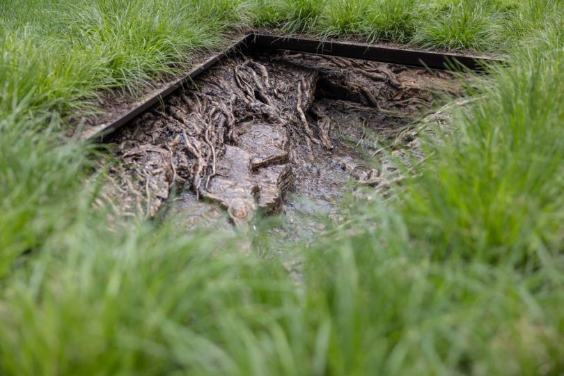 detail of Landscape and Memory through the grass