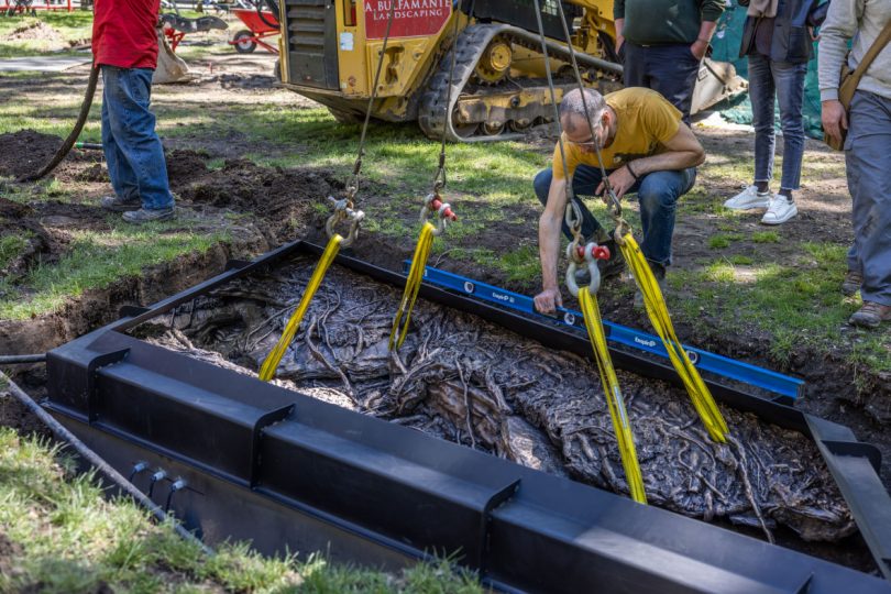 Bronze section of Landscape and Memory lowered into the ground