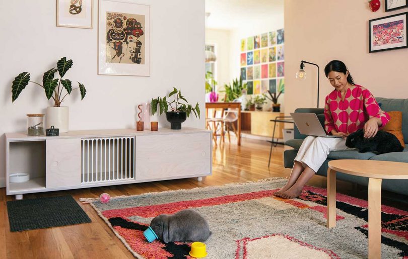 Living room with modern wood credenza bench with open spaces for pet rabbits