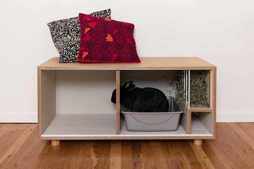 front view of modern bench that doubles as rabbit home