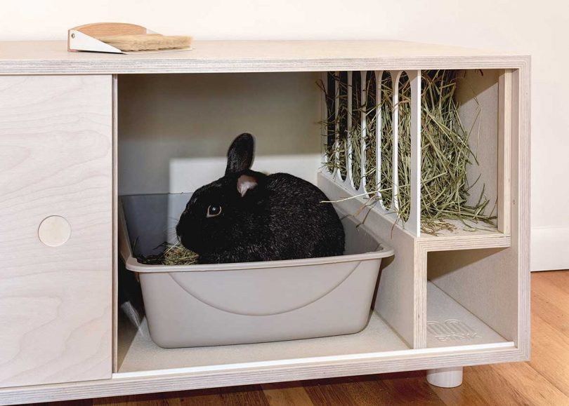 front view of modern bench that doubles as rabbit home