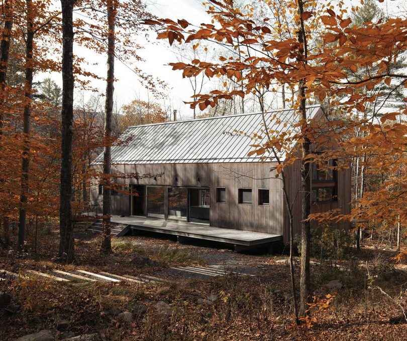 exterior view of rustic cottage in woods with orange leaves