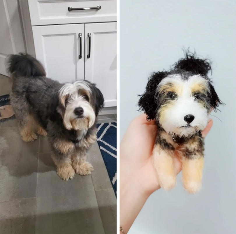 split image of large fluffy dog on the left and its miniature replica on the right