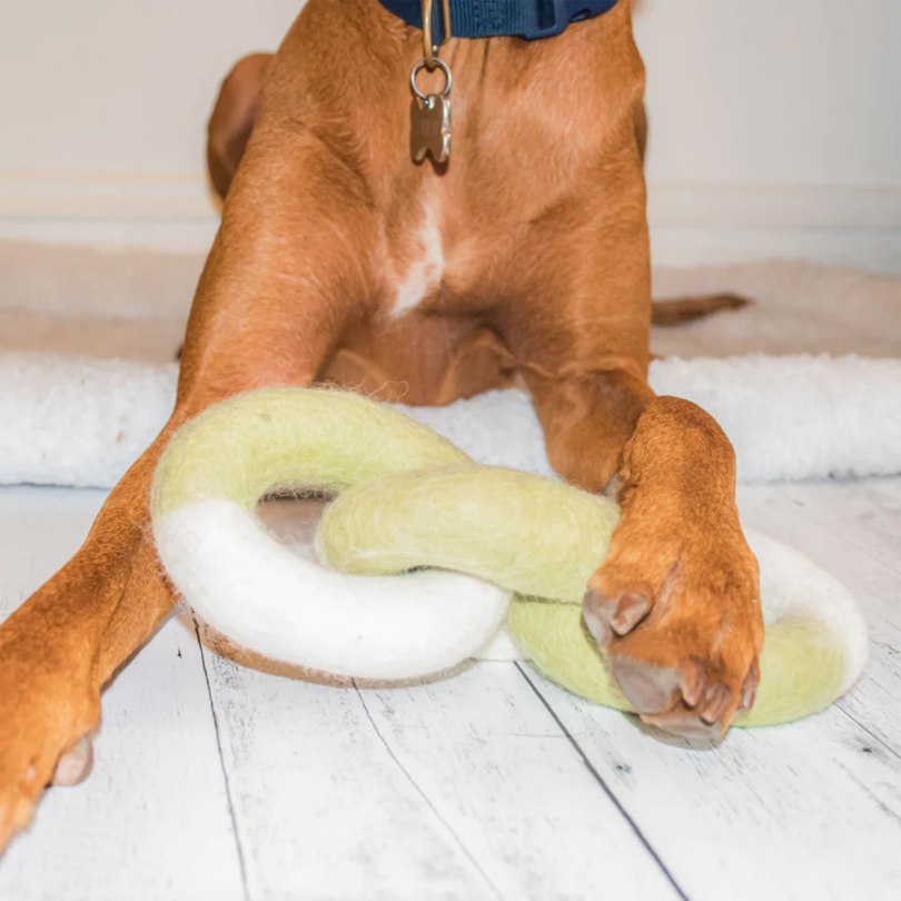 large brown dog with its paw on a felt toy shaped like a chain