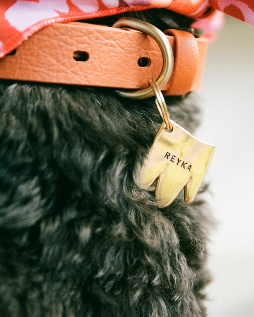 a colorful bandana, leather color, and brass name tag