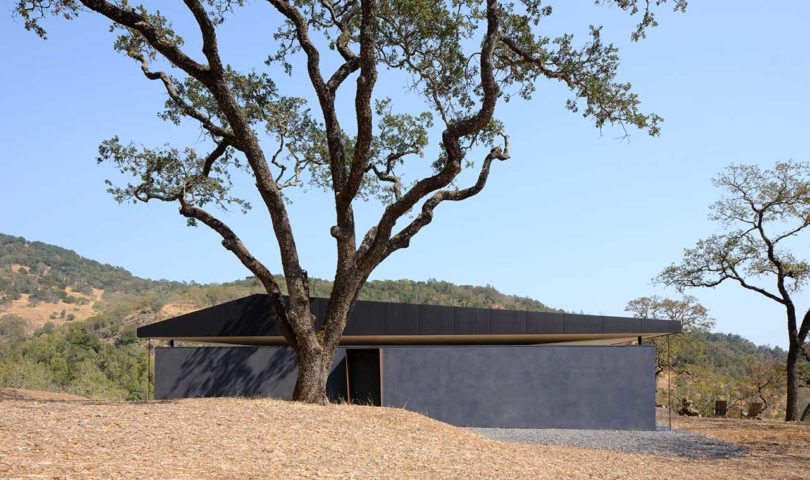 small black modern home open to outdoors