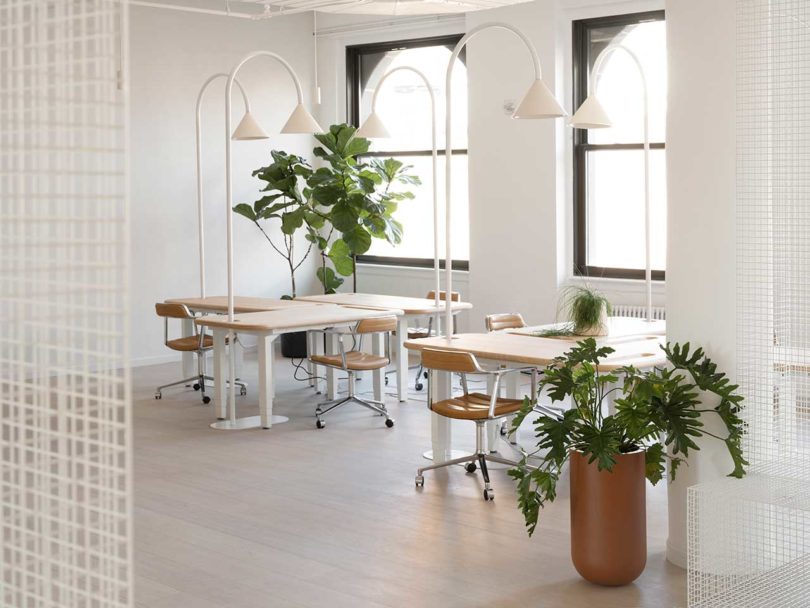 clusters of standing desks in office