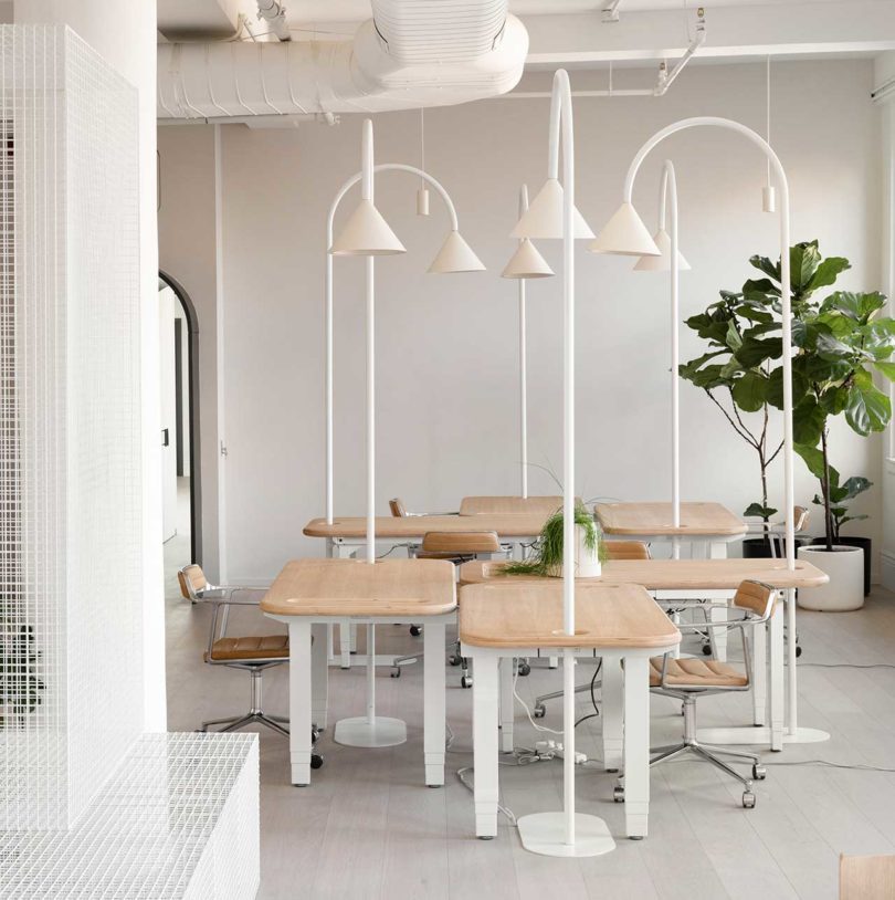 standing desks with curved armatures 