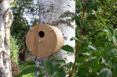 These Sustainable Houses + Feeders Are for the Birds