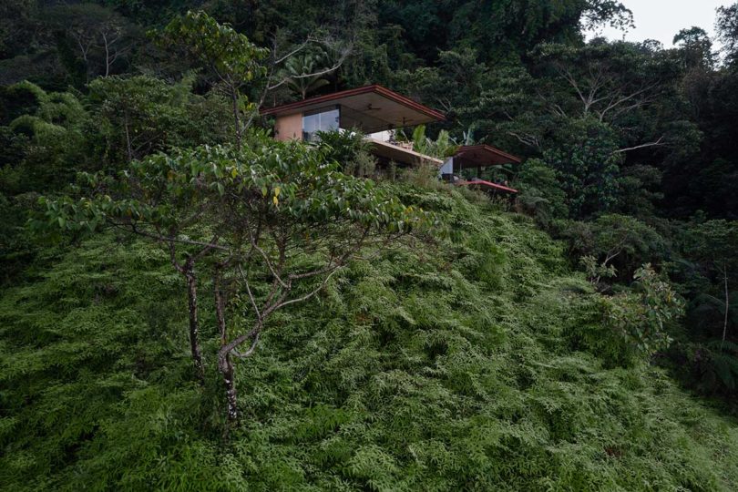 Greenery covered hillside with two villas built into the side of the mountain