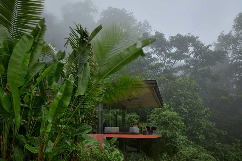 cantilevered modern villa surrounded by tropical plants