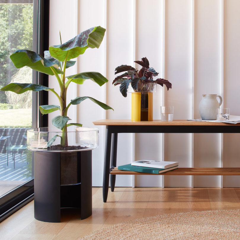 two self-watering glass planters, one on a table and one on the floor