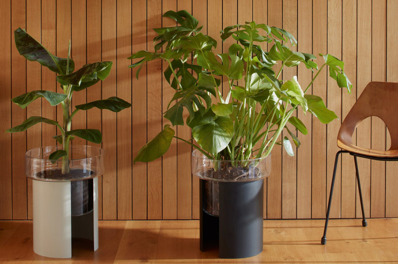 two self-watering glass planters on the floor