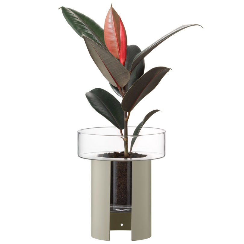 self-watering glass planter on white background