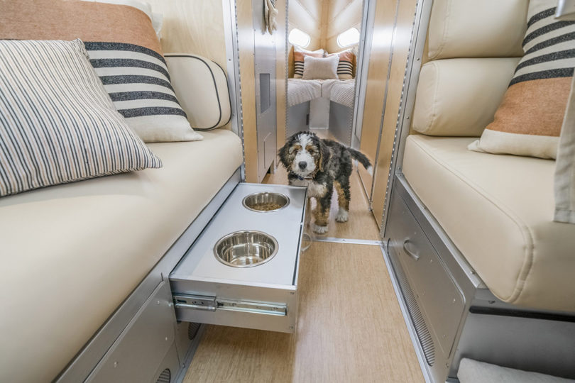 Cute white, black and brown dog standing next to its own pullout water and food bowls drawer.