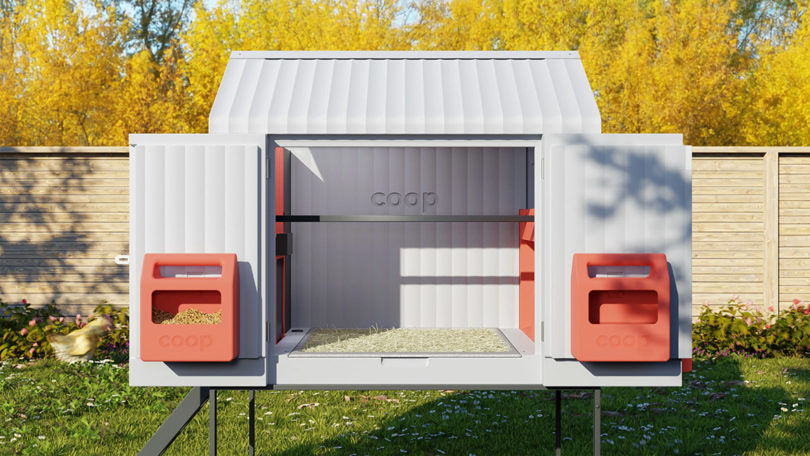 The COOP shown with both side doors open to illustrate ease of access for collecting eggs and cleaning the interior of the chicken coop.