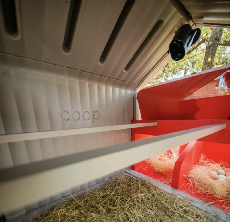 Interior 1080p webcam monitoring nesting area and roost inside The COOP.