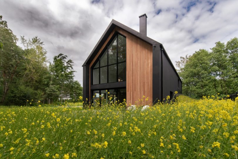 angled exterior view of modern black and wood house in field of yellow flowers