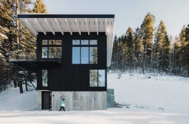 A Modern Cabin That Rises Above the Trees to Maximize the Views