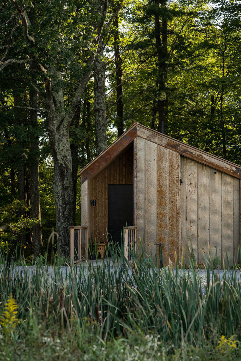 Standalone cabin nestled among white pines and native perennials 