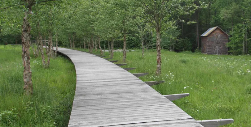 Serenbe wooden boardwalk.