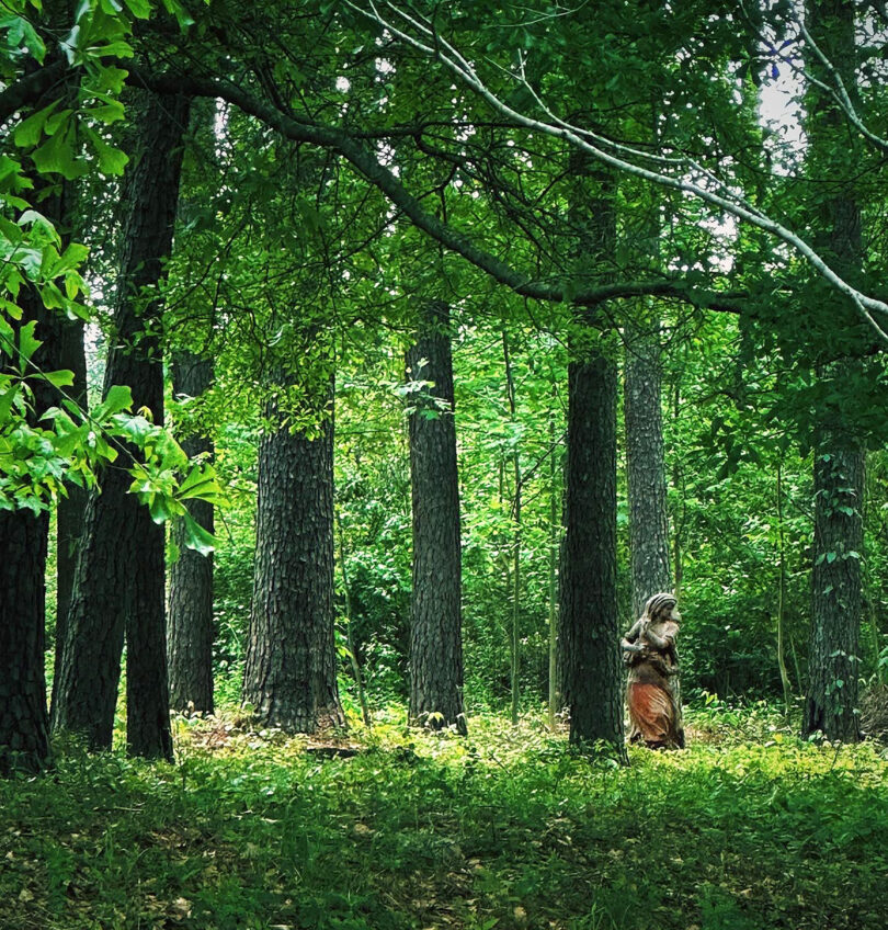 Forest with statue of woman in shawl.