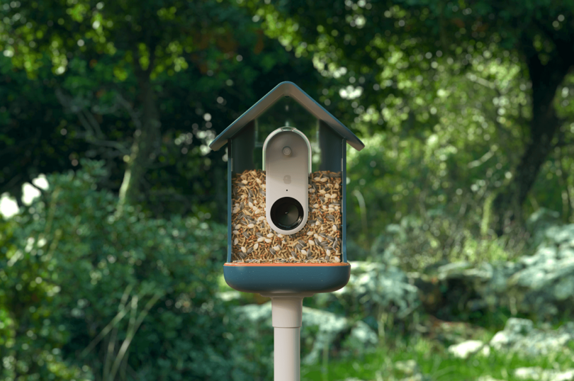 dark blue smart AI camera bird feeder outdoors