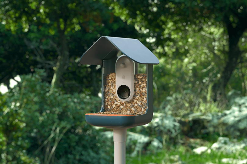 dark blue smart AI camera bird feeder outdoors