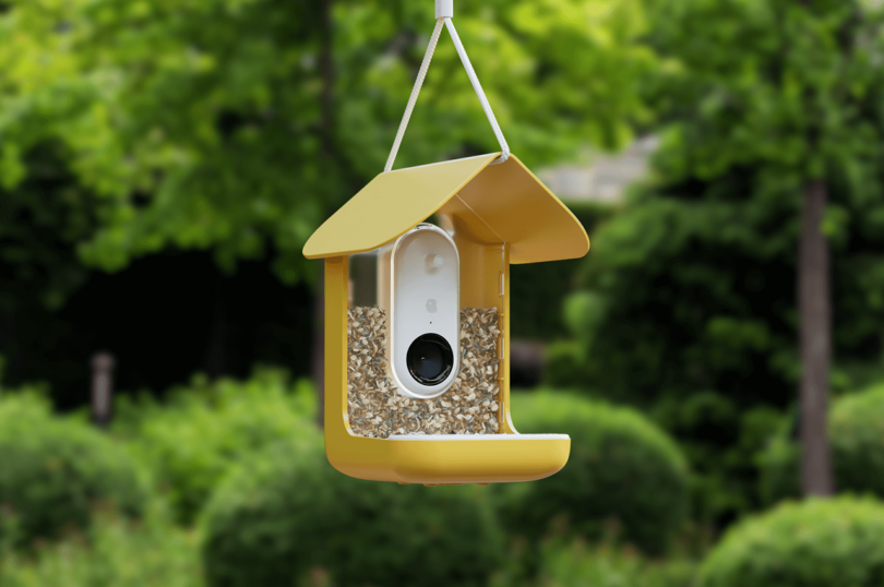 yellow smart AI camera bird feeder outdoors