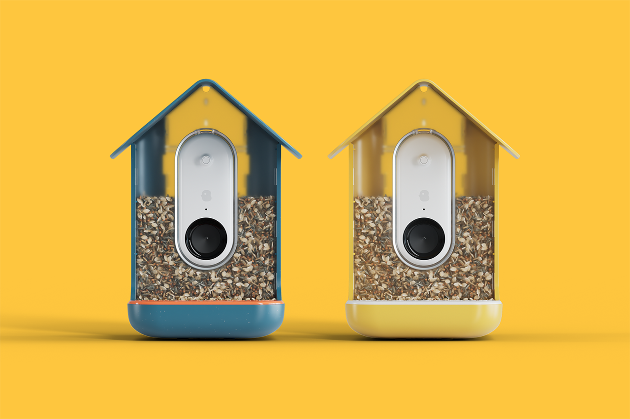 Bird Buddy Smart Bird Feeder Identifies Your Feathered Friends Using AI