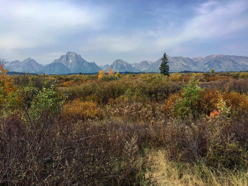 outdoor view of mountains and various scrub plants