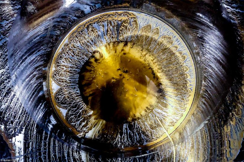 down view looking into tank holding wine