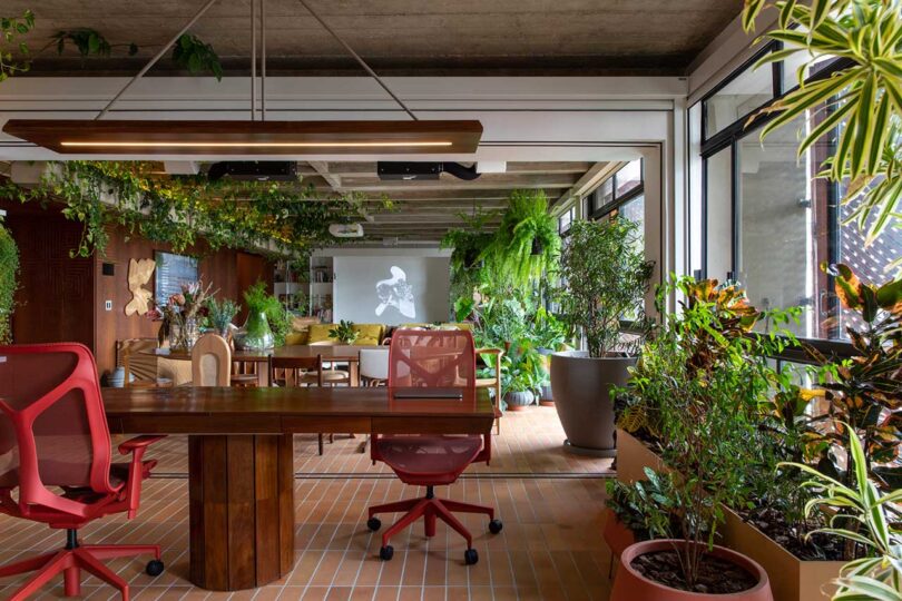 view of window side of modern apartment with home office and lots of plants