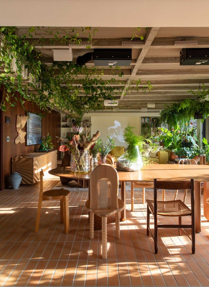 view in modern apartment with wood furnishings and lots of plants