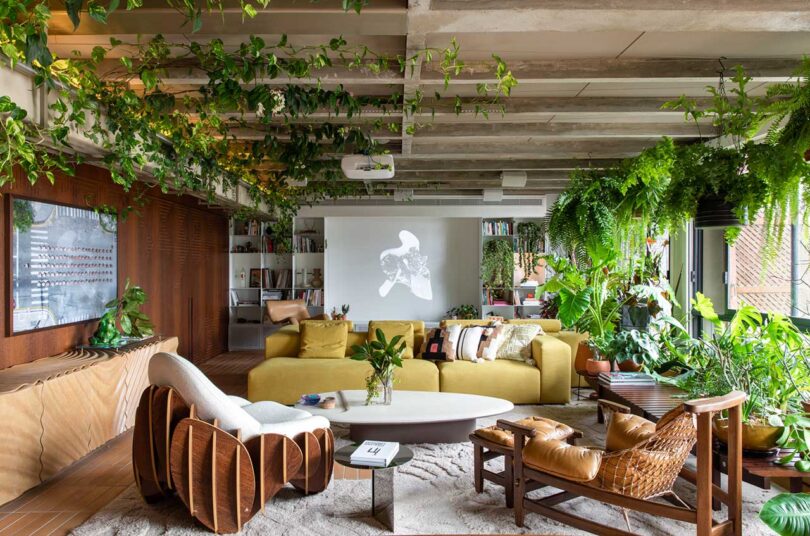 long view of modern living room with eclectic furnishings and plants hanging everywhere