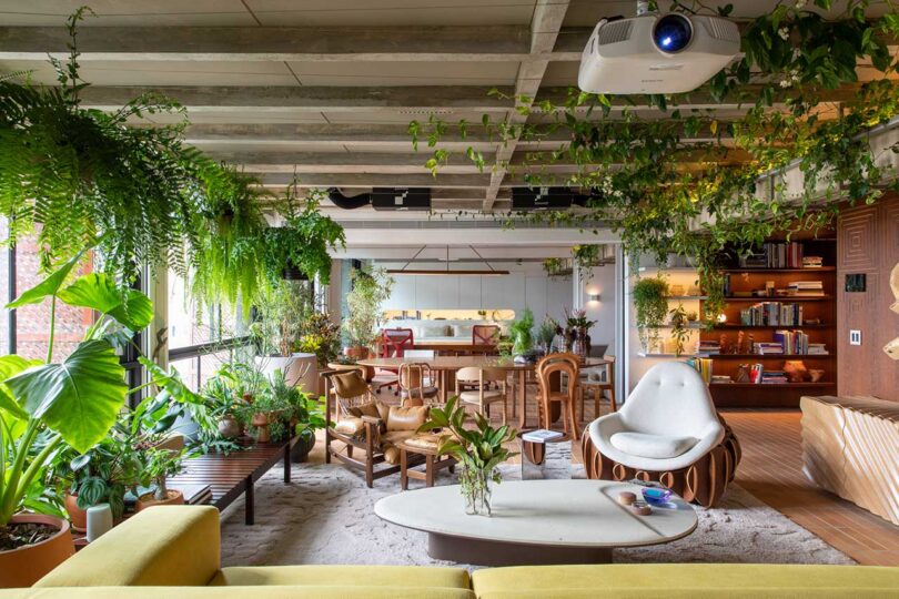 view of modern living room with eclectic furnishings and plants hanging everywhere